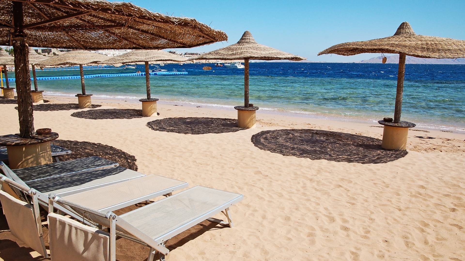 SPECIAL 14 daagse rondreis Cairo Nijlcruise en Rode Zee  3